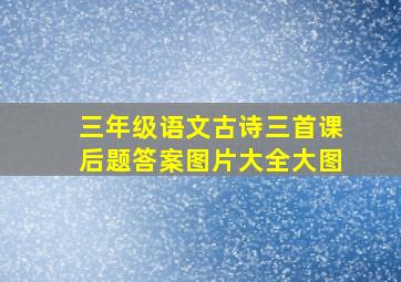 三年级语文古诗三首课后题答案图片大全大图