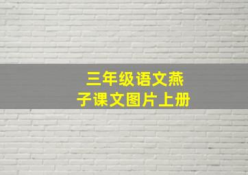 三年级语文燕子课文图片上册