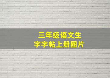 三年级语文生字字帖上册图片