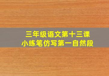 三年级语文第十三课小练笔仿写第一自然段