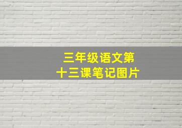 三年级语文第十三课笔记图片