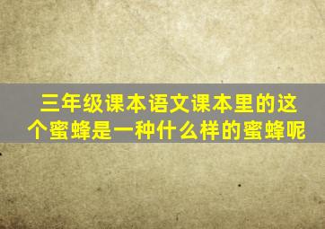 三年级课本语文课本里的这个蜜蜂是一种什么样的蜜蜂呢