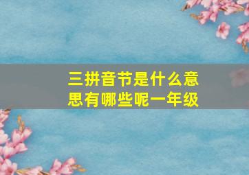 三拼音节是什么意思有哪些呢一年级