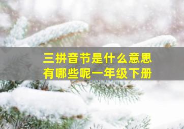 三拼音节是什么意思有哪些呢一年级下册