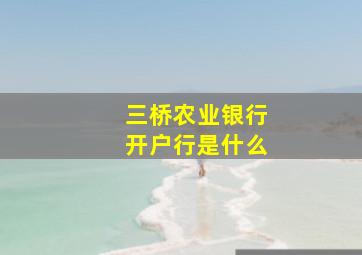 三桥农业银行开户行是什么