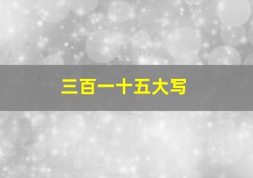 三百一十五大写