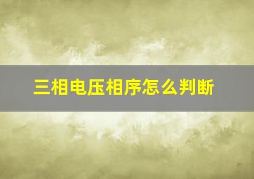 三相电压相序怎么判断