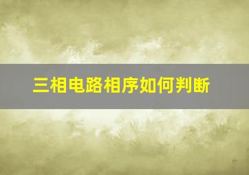 三相电路相序如何判断