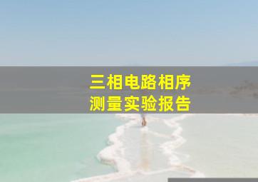 三相电路相序测量实验报告