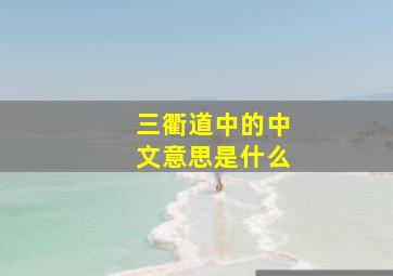 三衢道中的中文意思是什么