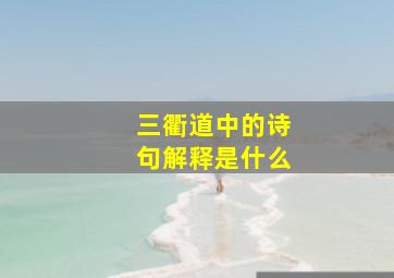 三衢道中的诗句解释是什么