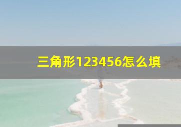 三角形123456怎么填