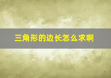 三角形的边长怎么求啊