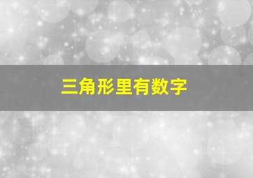 三角形里有数字