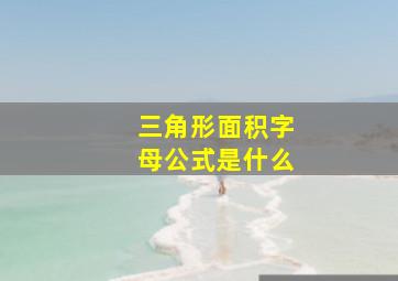 三角形面积字母公式是什么