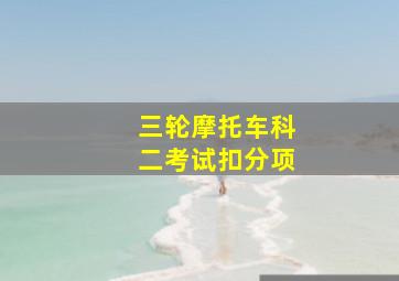 三轮摩托车科二考试扣分项