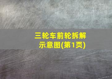 三轮车前轮拆解示意图(第1页)