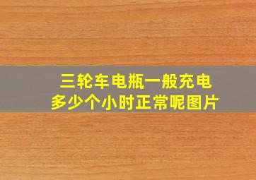 三轮车电瓶一般充电多少个小时正常呢图片