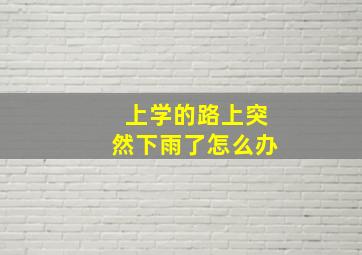 上学的路上突然下雨了怎么办