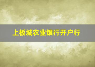 上板城农业银行开户行