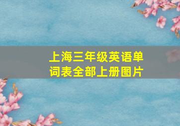 上海三年级英语单词表全部上册图片