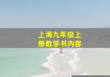 上海九年级上册数学书内容