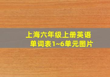 上海六年级上册英语单词表1~6单元图片