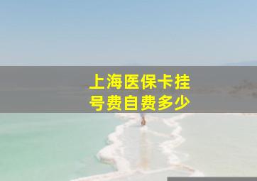 上海医保卡挂号费自费多少