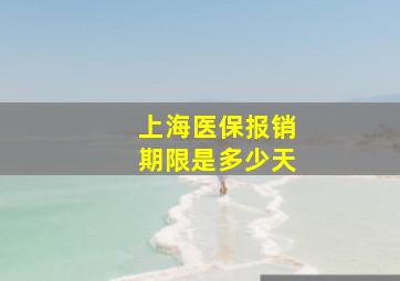 上海医保报销期限是多少天