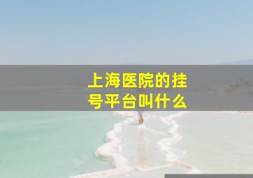 上海医院的挂号平台叫什么