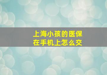 上海小孩的医保在手机上怎么交