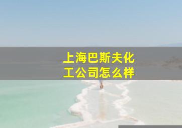 上海巴斯夫化工公司怎么样