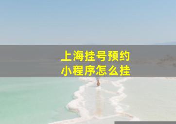 上海挂号预约小程序怎么挂