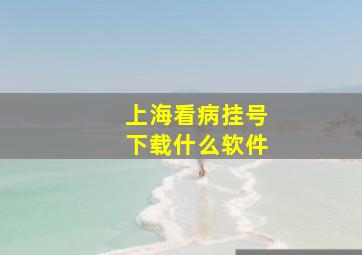 上海看病挂号下载什么软件