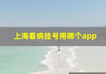 上海看病挂号用哪个app