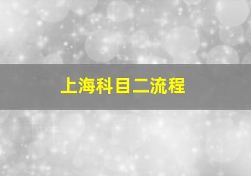 上海科目二流程