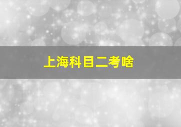 上海科目二考啥