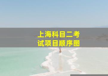 上海科目二考试项目顺序图