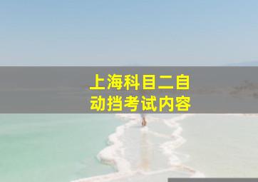 上海科目二自动挡考试内容