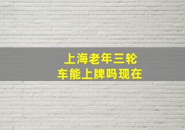 上海老年三轮车能上牌吗现在