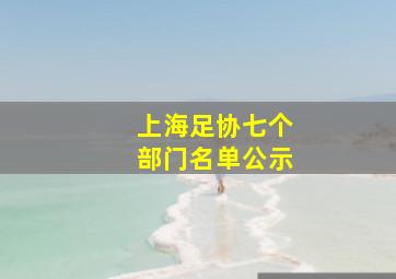 上海足协七个部门名单公示