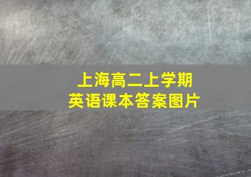 上海高二上学期英语课本答案图片