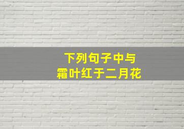 下列句子中与霜叶红于二月花