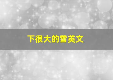 下很大的雪英文