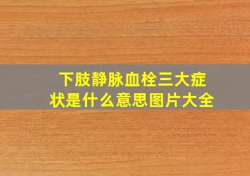 下肢静脉血栓三大症状是什么意思图片大全