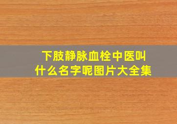 下肢静脉血栓中医叫什么名字呢图片大全集