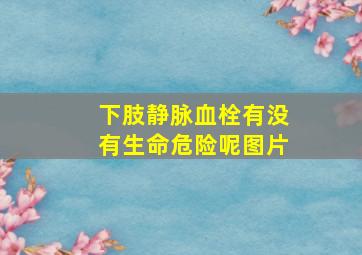 下肢静脉血栓有没有生命危险呢图片