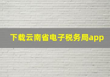 下载云南省电子税务局app