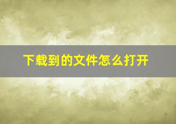 下载到的文件怎么打开