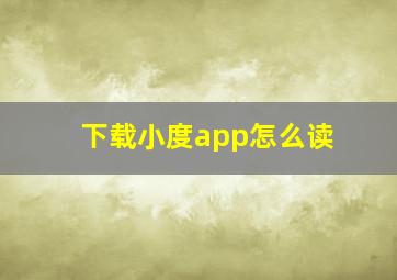 下载小度app怎么读